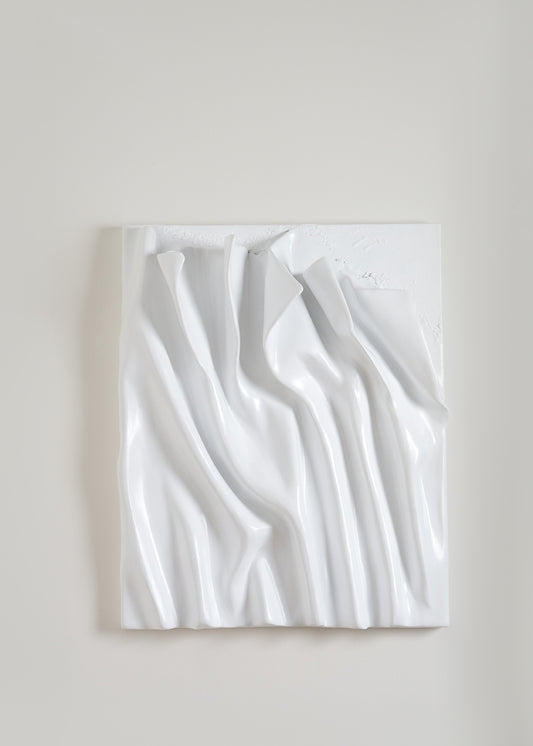 wall sculpture, 3d wall art, white finish, palster wall art